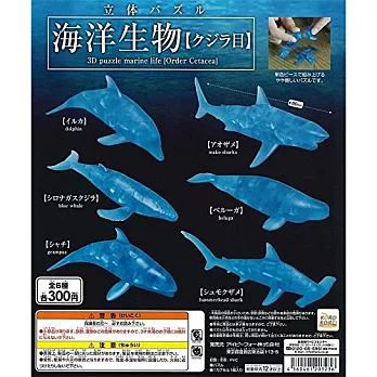 《轉蛋》海洋生物鯨魚目立體拼圖全6款 隨機出貨-- SYS 出品(日本原裝)