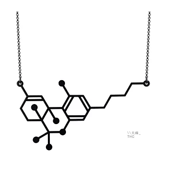 【賽先生科學工廠】大麻 停止傷痛的分子項鍊-磨砂黑