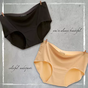 水洗標法式極致無痕冰絲內褲 (黑+膚2件組)