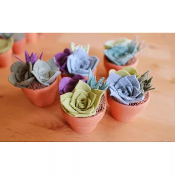 毛氈多肉植物擴香盆栽材料包-舒緩花園（中）