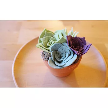 毛氈多肉植物擴香盆栽材料包-清新果香（大）