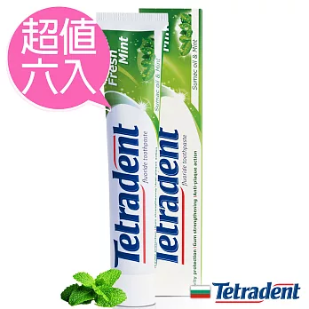 歐洲原裝Tetradent薄荷清新牙膏75ml六入