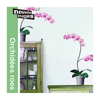 巴黎藝術壁貼─高雅蝴蝶蘭(Orchid’ees roes)