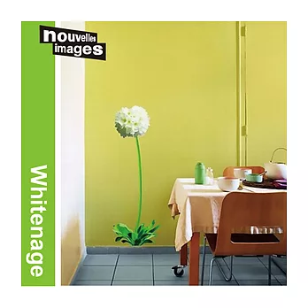 巴黎藝術壁貼─白繡球花 (Whitenage)