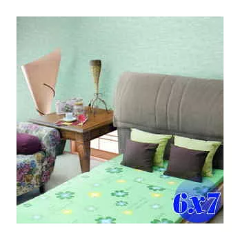 【普普風】1+1 寬版對目孟宗竹蓆兩用床墊-加大