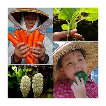 百寶箱10週C組合蔬菜組(二~四人