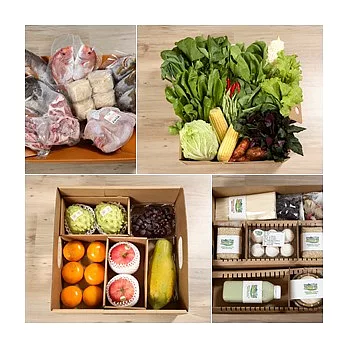 百寶箱10週D組合綜合組(二~四人