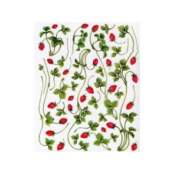 KD轉印紙．草莓線條