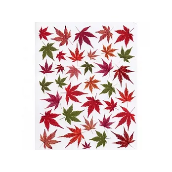 KD轉印紙．紅葉(A)