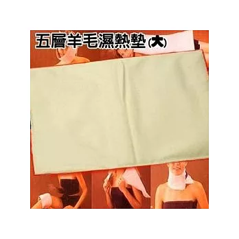 THERMOTECH 五層羊毛溼熱墊(大)