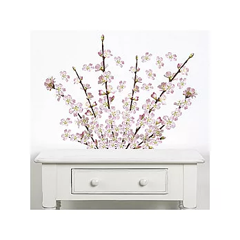 《PLAGE》春意櫻花無痕壁貼(小)