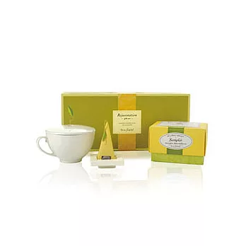 Tea Forte 單人茶品禮盒 REJUVENATION GIFT SET ~ 新系列