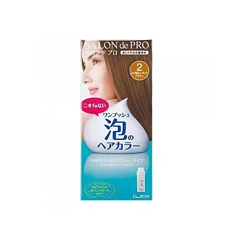 Dariya沙龍級泡沫染髮劑2明亮棕(白髮專用)