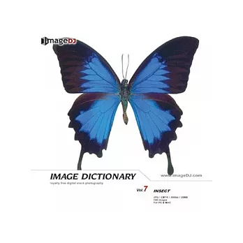 典匠圖庫-＜Image Dictionary系列-DI007-Insect-(昆蟲(去背))＞