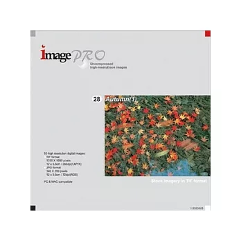 ＜Image Pro系列-IP28-Autumn(1)＞