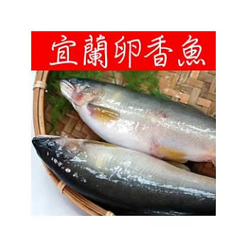 【優鮮配】宜蘭特選爆卵(母)香魚1尾(約200g)