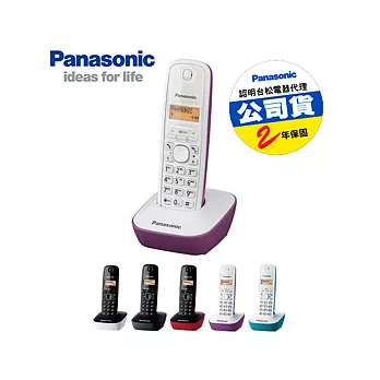 【Panasonic 國際牌】DECT 數位無線電話 公司貨 KX-TG1611TW (紫色)