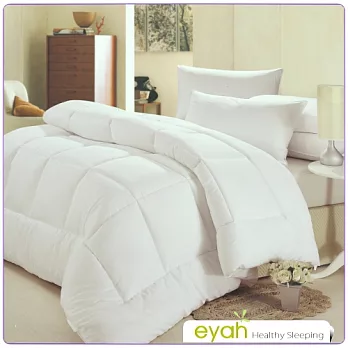 【EYAH宜雅】蠶絲舒眠冬被-雙人3kg