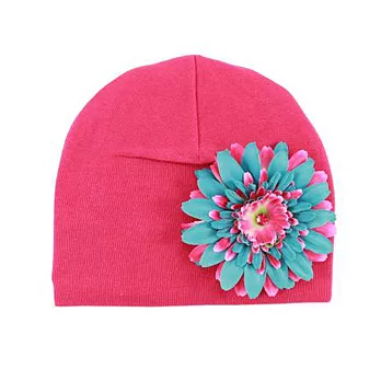《Jamie Rae hats》花樣棉帽-超級粉紅-覆盆子藍雛菊(0-18M)