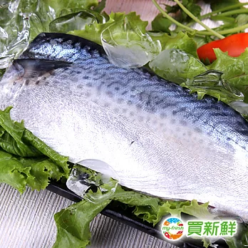 【買新鮮】省產鯖魚一夜干x20片組(鯖魚切片)(130g±10%/片)★無毒海鮮[免運]