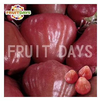 【鮮果日誌】嚴選!六龜頂級黑鑽石蓮霧(精美禮盒4台斤)