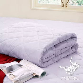 【POLO-清新潔淨.淡紫】平單式保潔墊-雙人