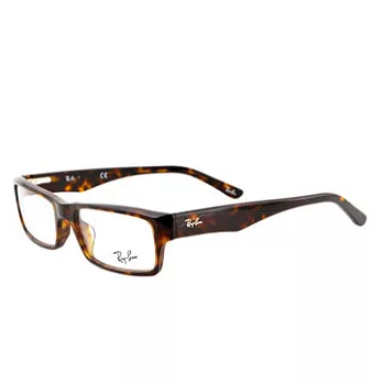 Ray Ban雷朋光學眼鏡 #RABA-5213-2012-54