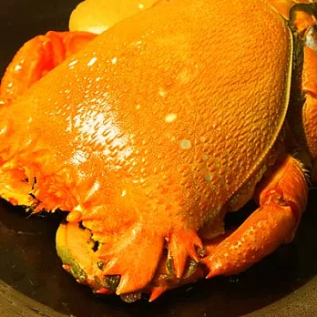 【幸福小胖】澳洲超大旭蟹3隻(600g/隻)