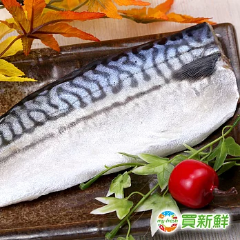 【買新鮮】挪威鯖魚一夜干x10片組(130g±10%/片)★無毒海鮮[免運]