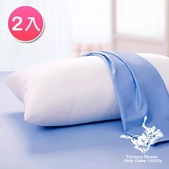 【POLO】台灣精製高密度防蹣抗菌潔淨枕-2入