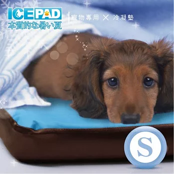ICE PAD 汪!汪!喵!喵!寵愛寶貝冷凝記憶寵物墊-小型S號