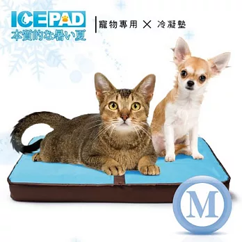 ICE PAD 汪!汪!喵!喵!寵愛寶貝冷凝記憶寵物墊-中型M號