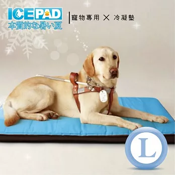 ICE PAD 汪!汪!喵!喵!寵愛寶貝冷凝記憶寵物墊-大型L號