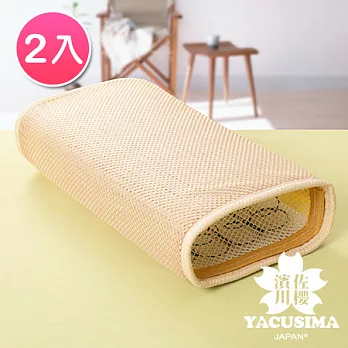 【濱川佐櫻-沁涼雅藝】台灣製3D通風透氣枕-2入