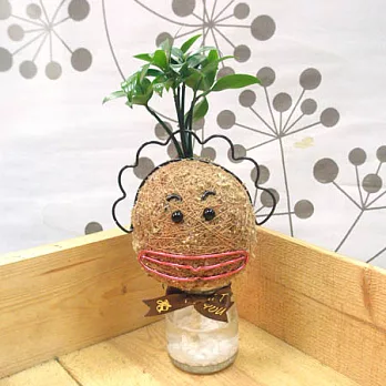 迎光-花媽造型苔球