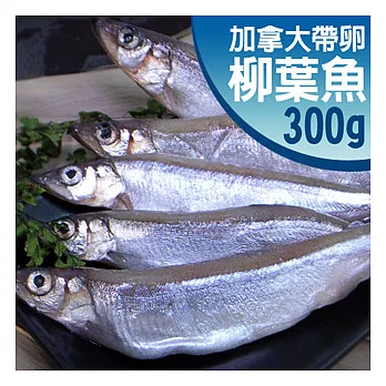 【優鮮配】加拿大〝特大〞帶卵柳葉魚300gx6包免運組