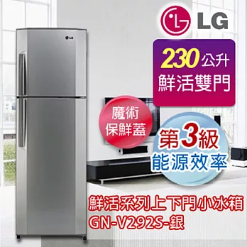 LG樂金 230公升自動除霜功能雙門電冰箱 GN-V292S