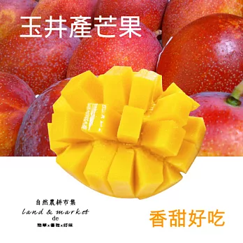 【自然農耕市集】玉井芒果(5台斤/9粒)