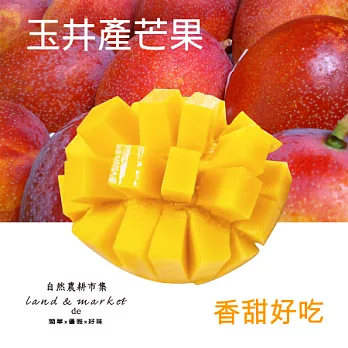【自然農耕市集】玉井芒果(5台斤/12粒)