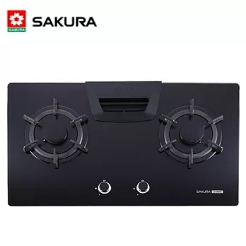 櫻花 SAKURA- G-2825G雙口節能玻璃檯面爐 黑色玻璃-天然瓦斯/含原廠技師到府基本安裝服務