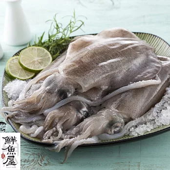 【鮮魚屋】超鮮活凍軟絲500g*4包