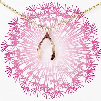 【Dogeared】美國品牌祈願項鍊~medium wishbone玫瑰金中許願骨18/20吋金項鍊