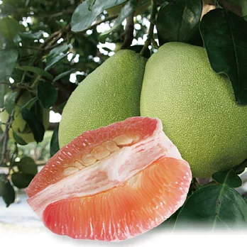 【自然農耕市集】王明長老欉紅柚(10台斤x2箱)