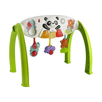 《Fisher Price 費雪牌》小熊貓聲光健身器