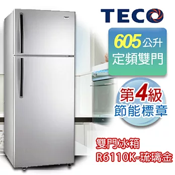 TECO 東元605公升雙門冰箱 R6110K