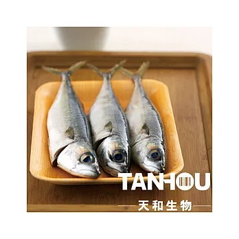【天和】澎湖鯖魚(多尾入)