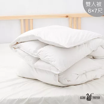 【遊遍天下】MIT台灣製舒眠100% 天然水鳥羽毛絨被(白)