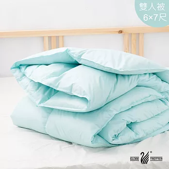 【遊遍天下】MIT台灣製舒眠100% 天然水鳥羽毛絨被(果綠)