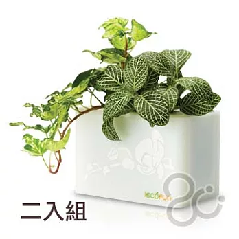 2Ustyle積木花盒桌面綠牆組(2入) -白色