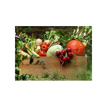 永豐餘生技GREEN&SAFE-有機蔬菜箱(6物)